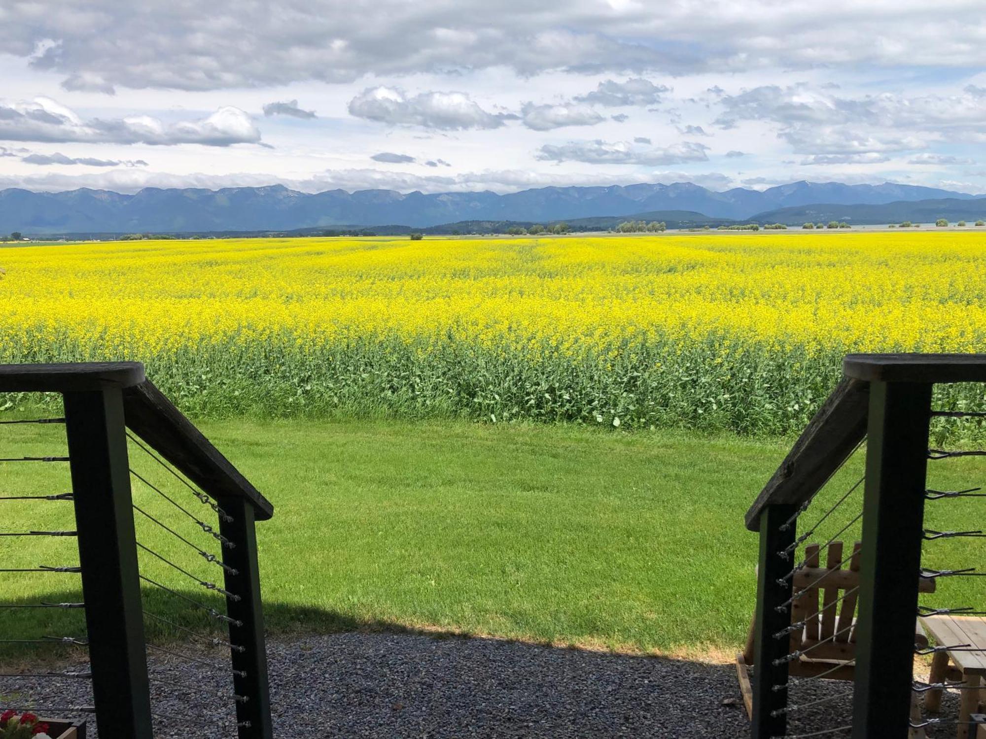 New Cabin With Spectacular Views Of Flathead Lake. Somers Экстерьер фото
